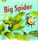 Bug Club Phonics - Phase 5 Unit 27: Big Spider