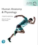 Human Anatomy & Physiology, Global Edition, (HB)