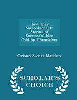 How They Succeeded: Life Stories of Successful Men Told by Themselves - Scholar's Choice Edition