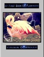 My First Book on Flamingos