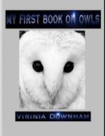 My First Book on Owls