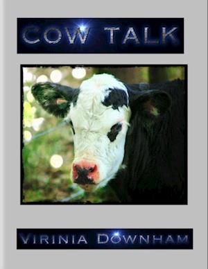 Cow Talk