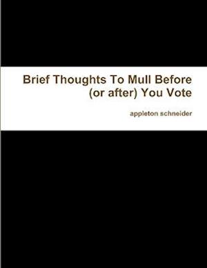 Brief Thoughts To Mull Before (or after) You Vote