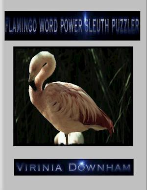 Flamingo Word Power Sleuth Puzzler