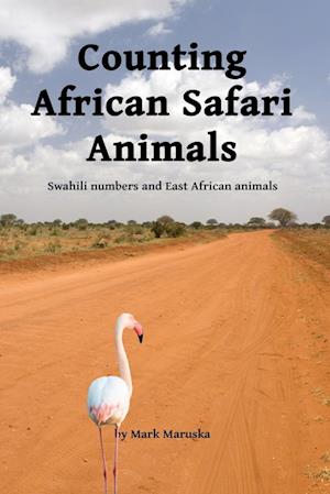 Counting African Safari Animals