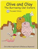 Olive and Olay - The Burrowing Owl Sisters - O Focused Story