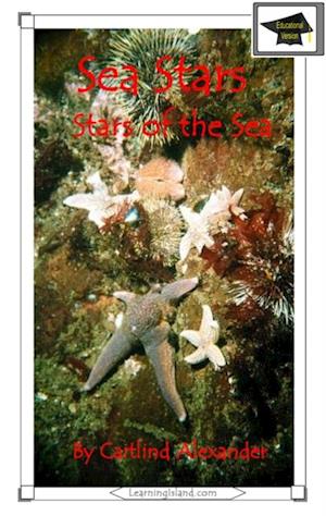 Sea Stars: Stars of the Sea: Educational Version