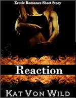 Reaction Erotic Short Story