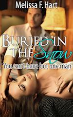 Buried In the Snow (You can't have but one man, Book 1) (Erotic Romance - Holiday Romance)