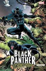Black Panther: Panther's Quest