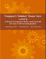 Singapore Summer Shape Ups