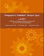 Singapore Summer Shape Ups