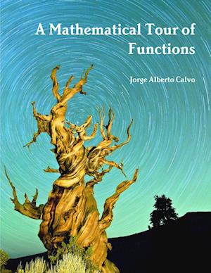 A Mathematical Tour of Functions