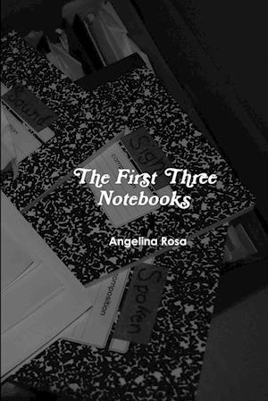 The First Three Notebooks