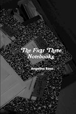 The First Three Notebooks 