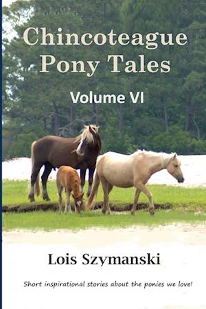 Chincoteague Pony Tales