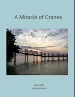 A Miracle of Cranes
