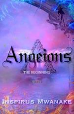 Angeions