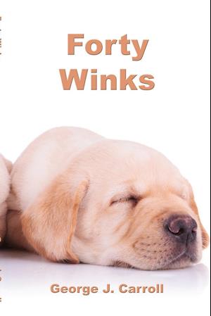 Forty Winks