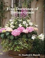 Five Doctrines of Divine Grace