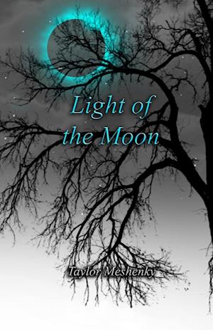 Light of the Moon