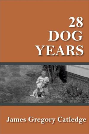 28 Dog Years