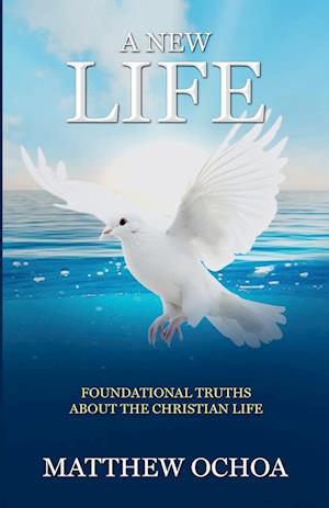 A New Life: Foundational Truths About the Christian Life