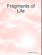 Fragments of Life