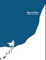 Bag of Snow