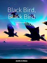 Black Bird, Black Bird: A Bedtime Story 