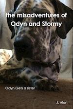 the misadventures of Odyn and Stormy
