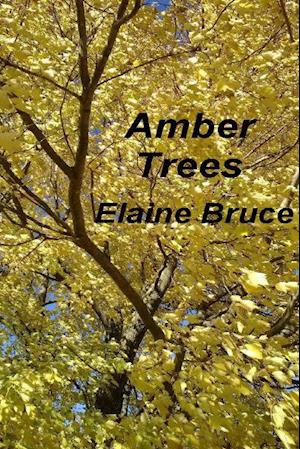 Amber Trees