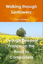 Walking through Sunflowers