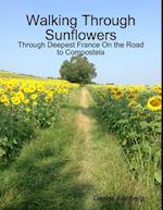 Walking Through Sunflowers: Through Deepest France On the Road to Compostela