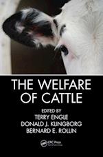 Welfare of Cattle