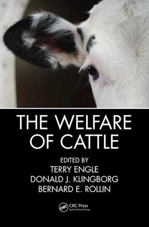 Welfare of Cattle