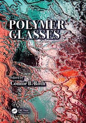 Polymer Glasses