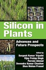 Silicon in Plants