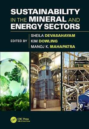 Sustainability in the Mineral and Energy Sectors