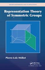 Representation Theory of Symmetric Groups