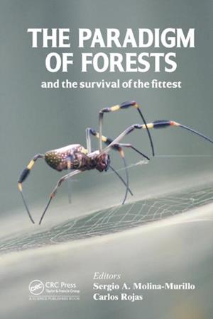 Paradigm of Forests and the Survival of the Fittest