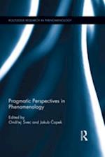 Pragmatic Perspectives in Phenomenology