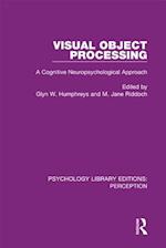 Visual Object Processing