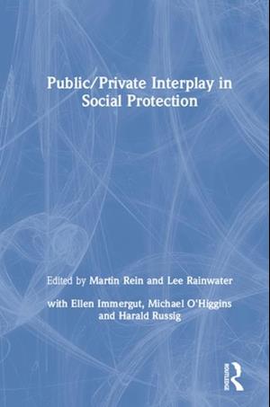 Public/Private Interplay in Social Protection