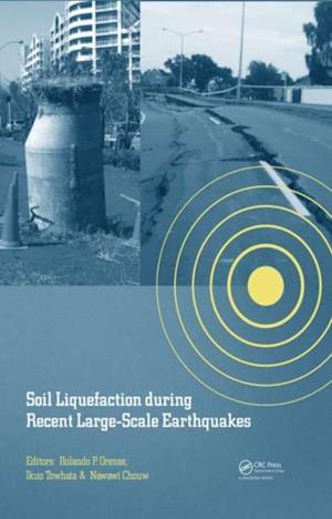 Soil Liquefaction during Recent Large-Scale Earthquakes