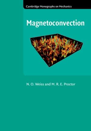 Magnetoconvection