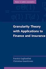 Granularity Theory with Applications to Finance and Insurance