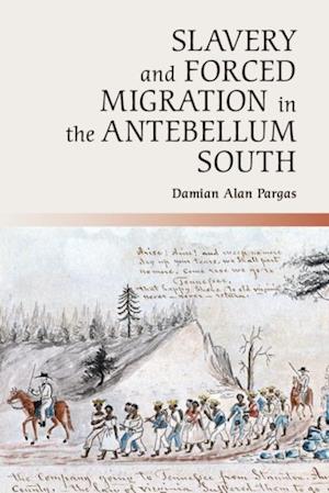 Slavery and Forced Migration in the Antebellum South