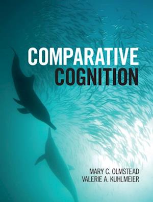 Comparative Cognition