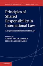 Principles of Shared Responsibility in International Law